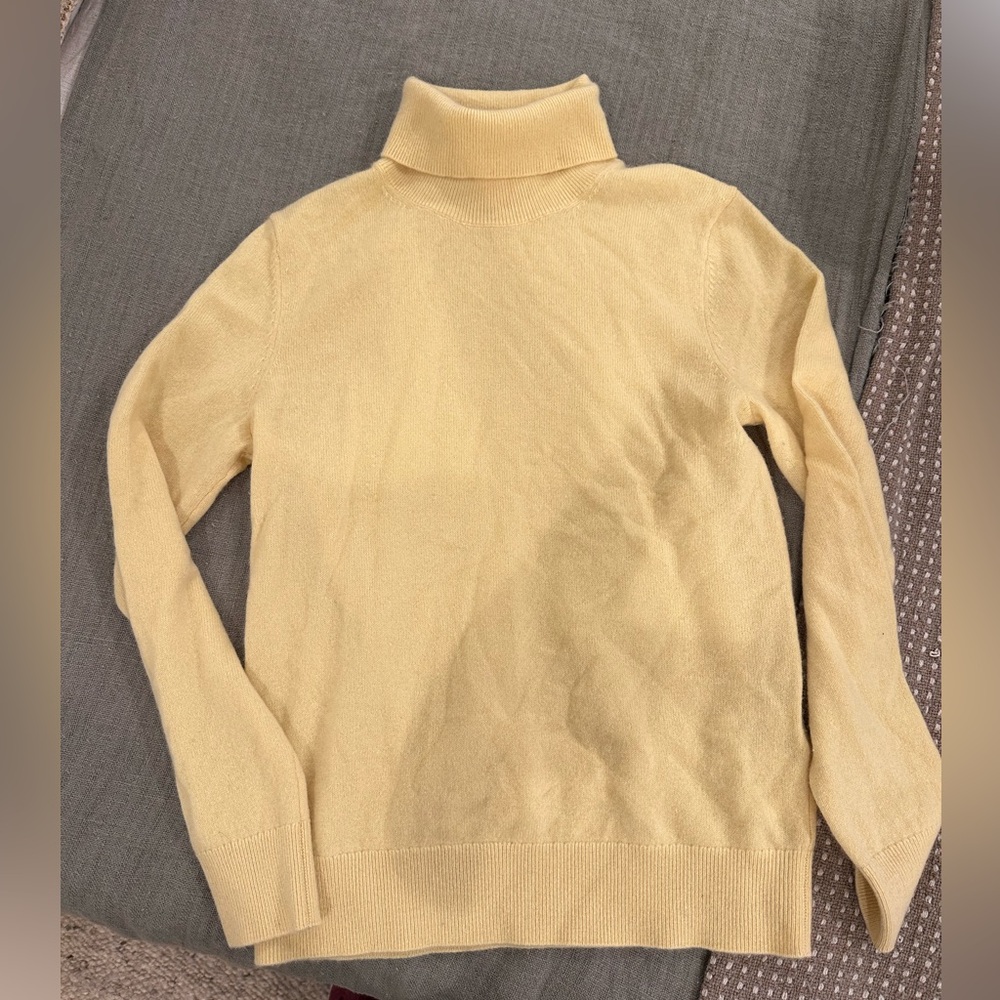 Aritzia Babaton 100% Cashmere Sweater